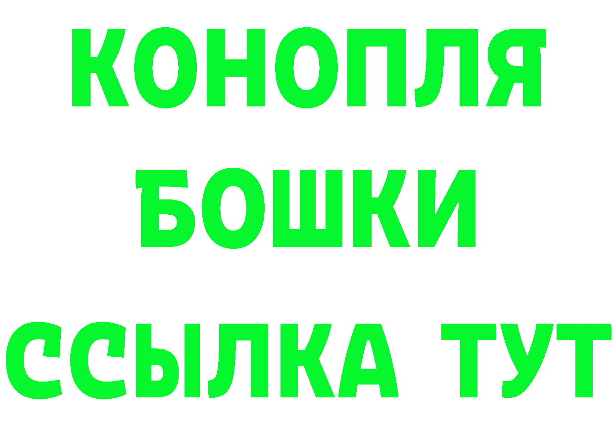 Canna-Cookies марихуана как войти сайты даркнета гидра Галич